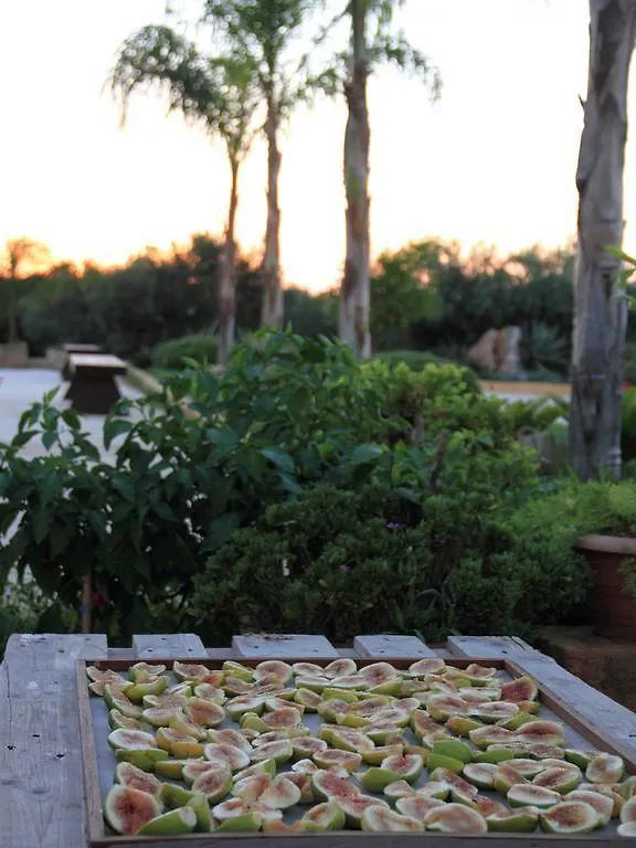Bed & Breakfast I Giardini Di Elencosta Hotel Trapani